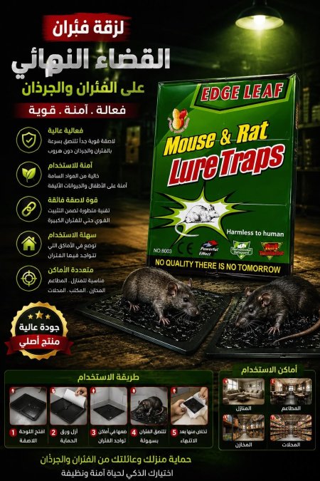 دبق فار صغير دفتر