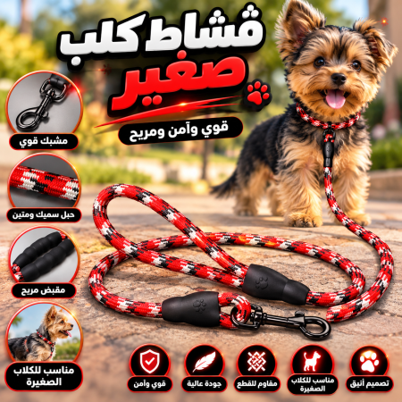 قشاط كلب صغير