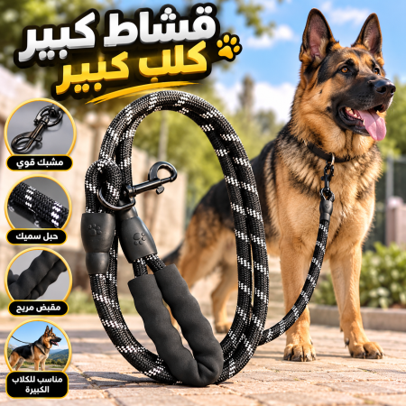 قشاط كلب كبير